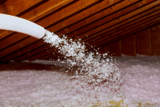 Best Residential Insulation in Walbridge, OH
